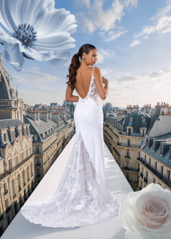 Robe De Mariée Feliane Dos Def Pronuptia Collection 2027 Robe De Mariée Feliane Dos Def Pronuptia Collection 2027