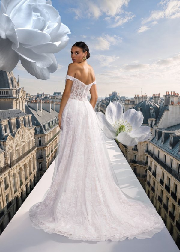 Robe De Mariée Felisa Dos Def Pronuptia Collection 2027 Robe De Mariée Felisa Dos Def Pronuptia Collection 2027
