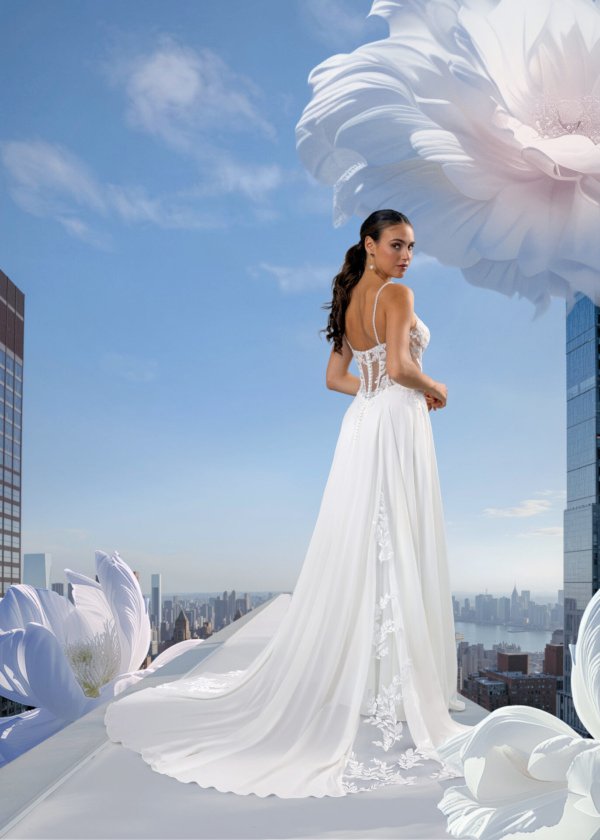 Robe De Mariée Fiorenza Dos Def Pronuptia Collection 2027