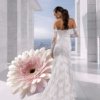 Robe De Mariée Flavie Dos Def Pronuptia Collection 2027 Robe De Mariée Flavie Dos Def Pronuptia Collection 2027